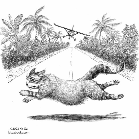 drawing of cat running across the end of an airstrip in the jungle, while a small plane comes in to land.