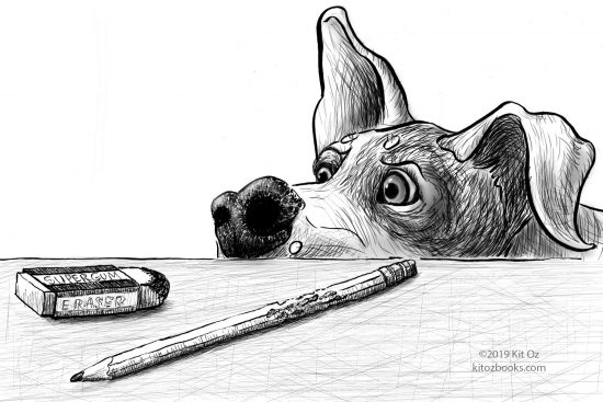 dog sniffs eraser and pencil on desk