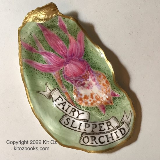 fairy slipper orchid, painted on an oyster shell