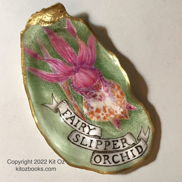 fairy slipper orchid, painted on an oyster shell