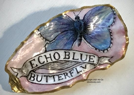 echo blue butterfly on an oyster shell