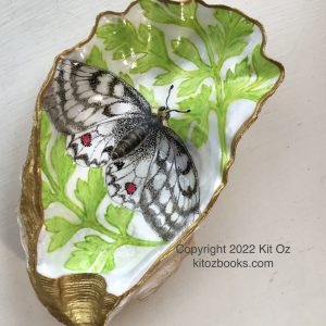 black and white butterfly on an oyster shell