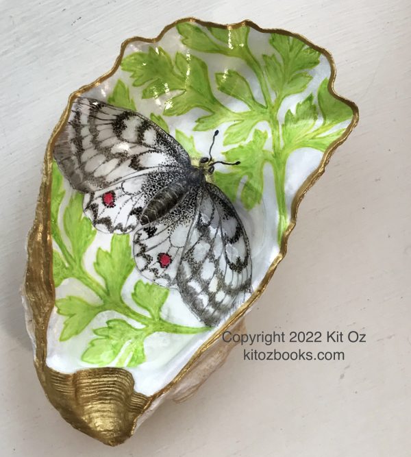 black and white butterfly on an oyster shell