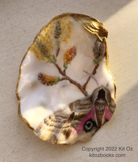 pink and beige moth with a blooming branch of pussy willow, painted inside an oyster shell
