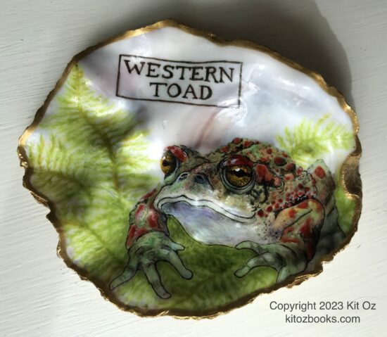 red and green warty toad crouched on feathery green moss, painted inside an oyster shell