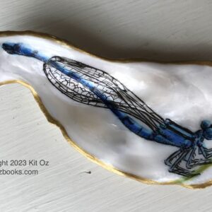 a thin blue damselfly painted inside a small, oblong oyster shell